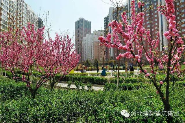 1624951616212376.jpg 2.jpg