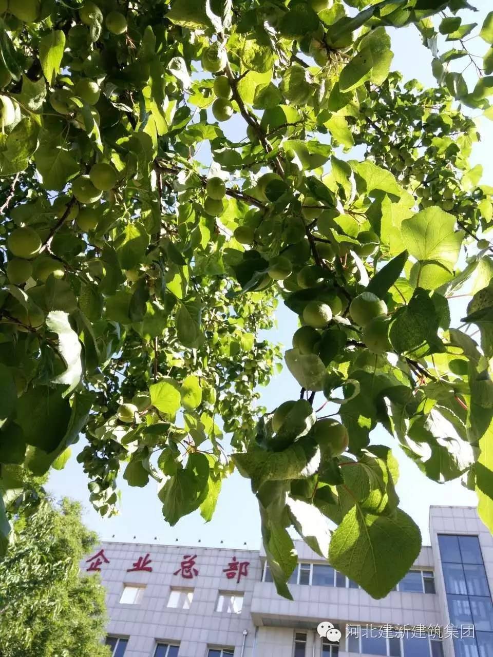 1624953948178879.jpg 6.jpg