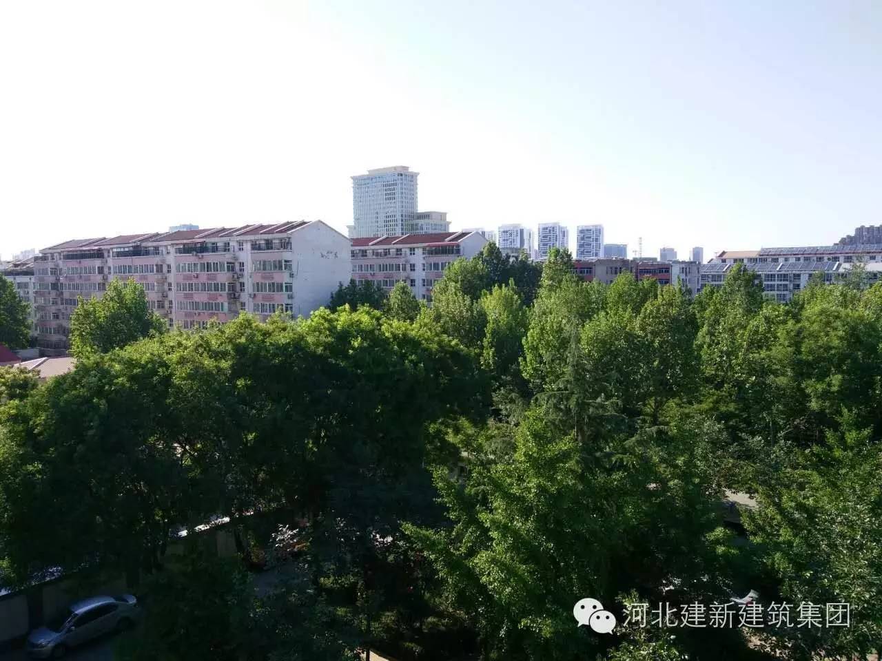 1624953957104143.jpg 9.jpg