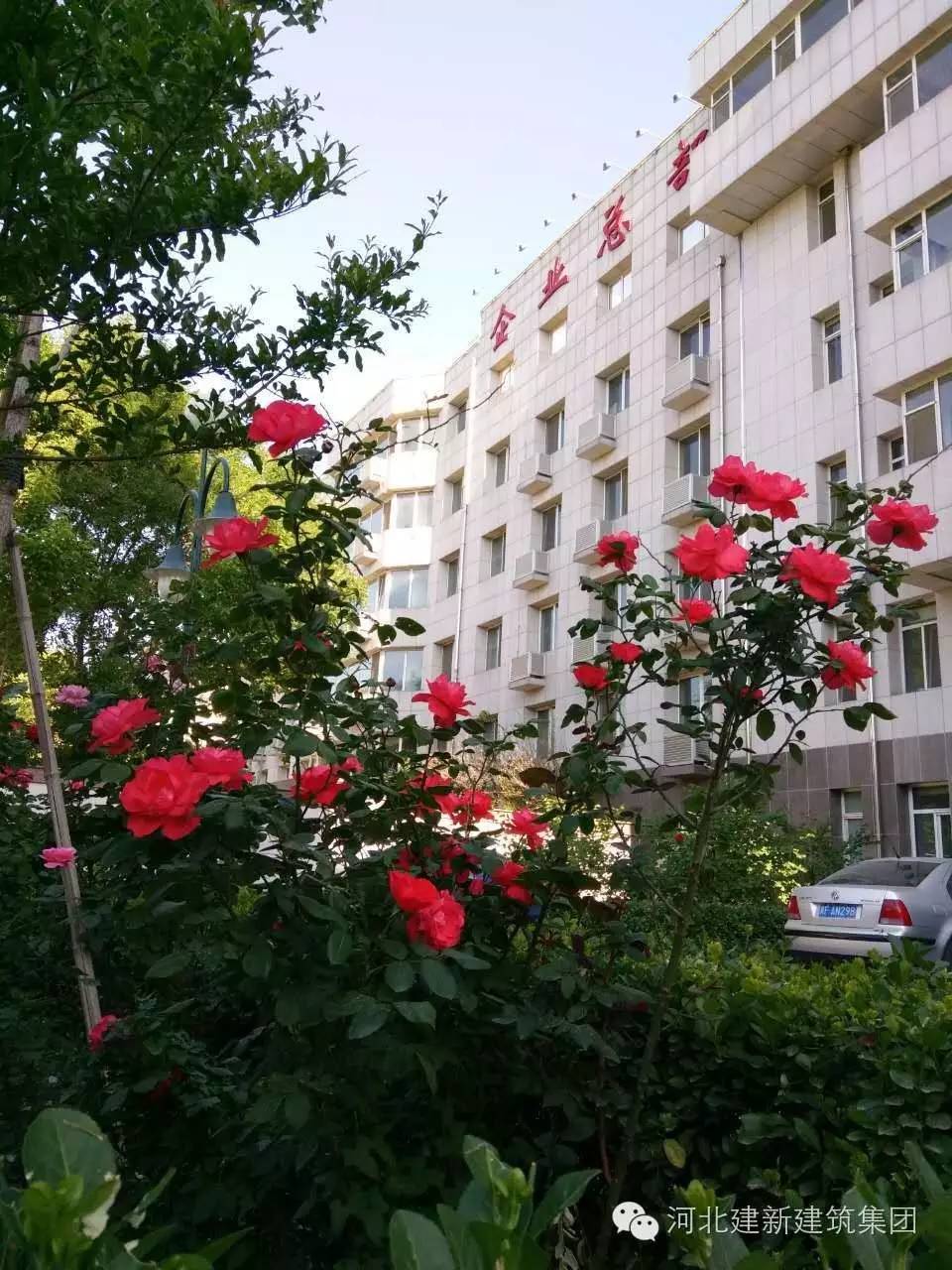 1624953961199320.jpg 10.jpg