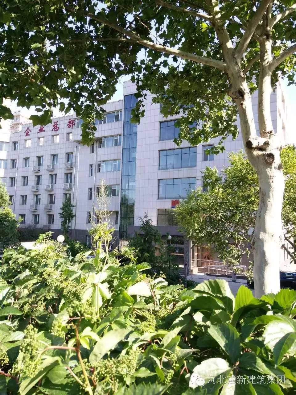 1624954032174582.jpg 12.jpg