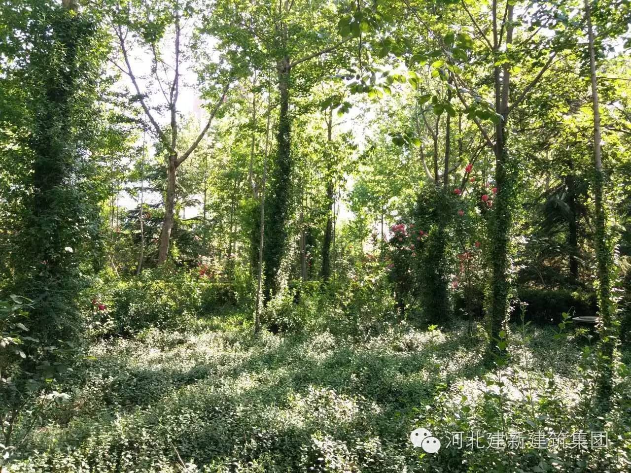 1624954034528601.jpg 13.jpg