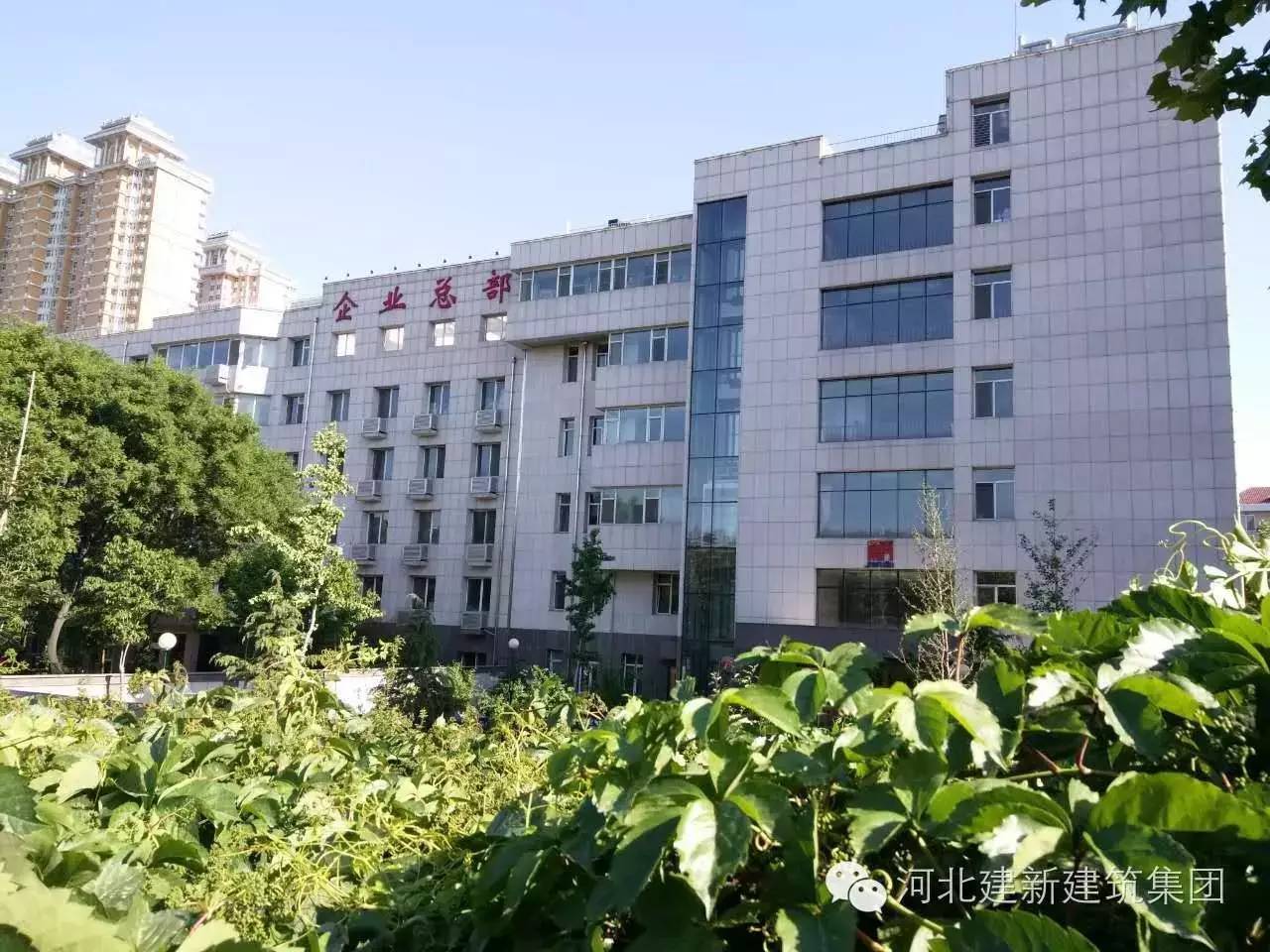 1624954037131975.jpg 14.jpg