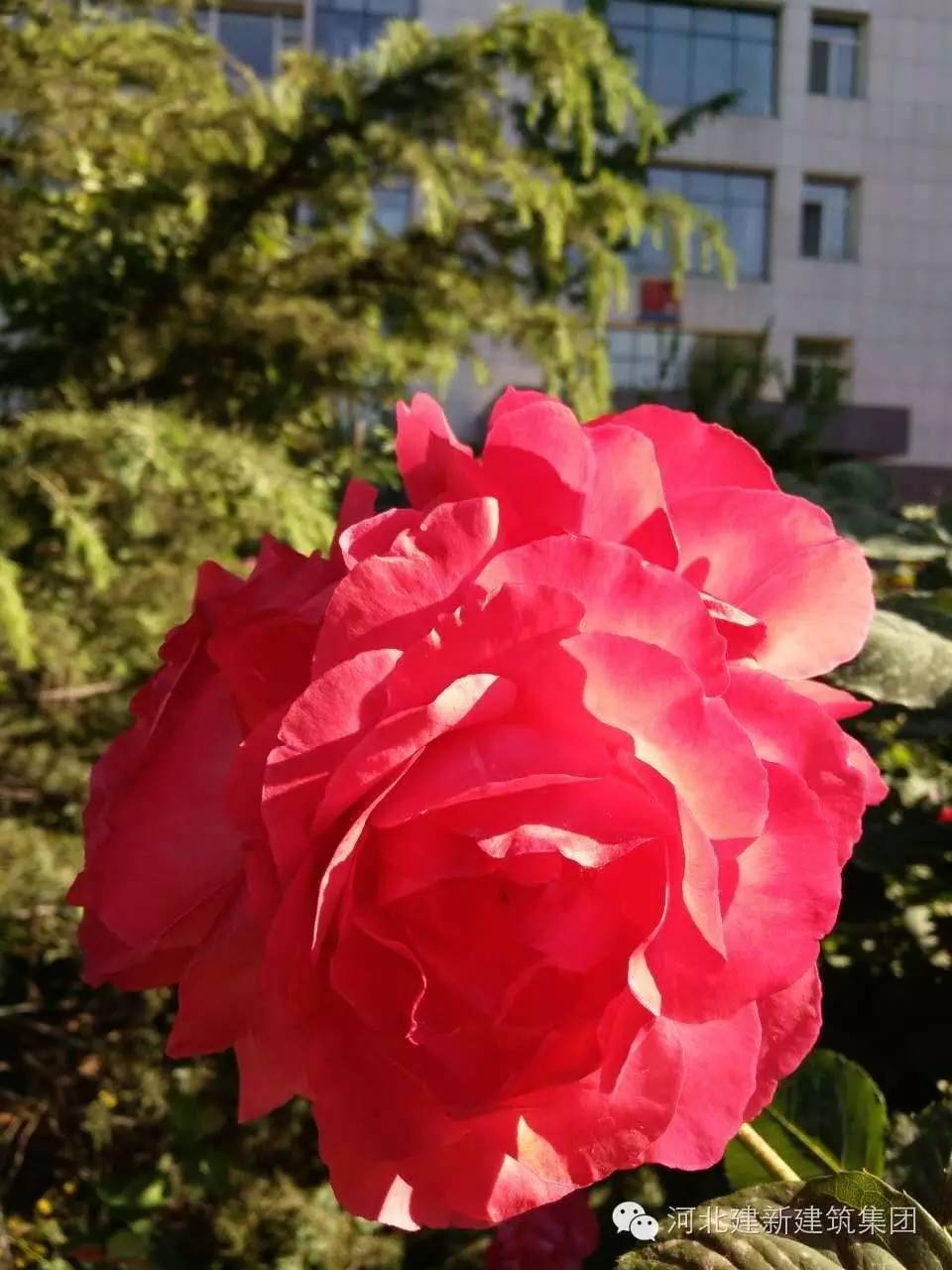 1624954040207679.jpg 15.jpg