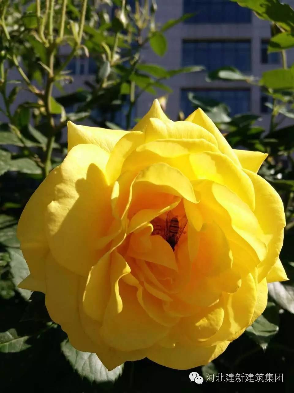 1624954043126515.jpg 16.jpg