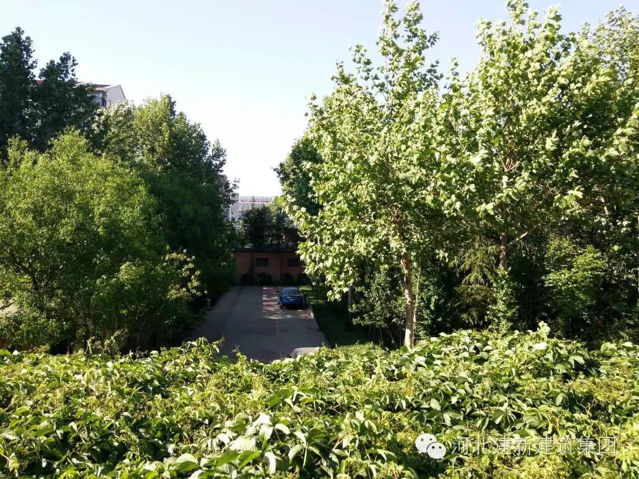 1624954045590777.jpg 17.jpg